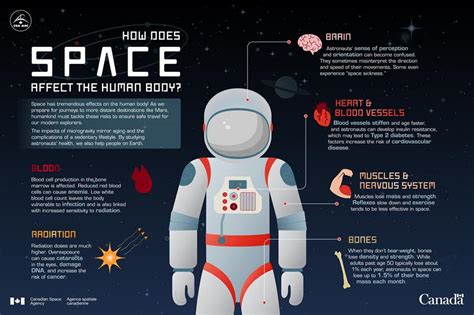 Challenges and Risks: Safety Concerns in Space Travel