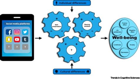 Challenges and Risks in Virtual Interactions: Unveiling the Possible Traps