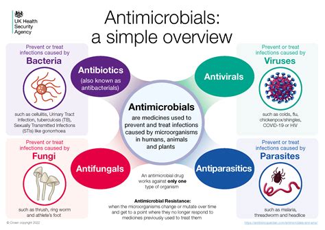 Choose Antibacterial Properties