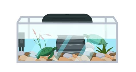 Choosing the Appropriate Tank Size and Type for Your Turtle