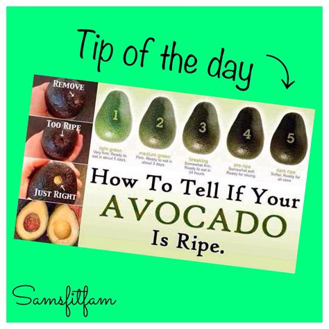 Choosing the Ideal Avocado: A Comprehensive Guide