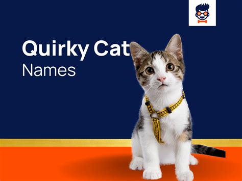 Choosing the Ideal Name for Your Ivory Feline Companion