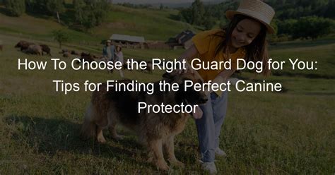 Choosing the Perfect Canine Protector