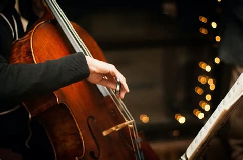 Choosing the Perfect Cello: Essential Tips for Selecting Your Instrument