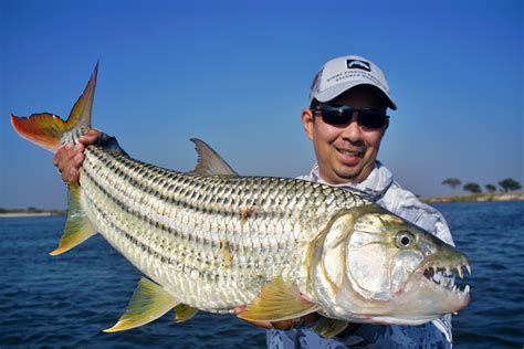 Choosing the Perfect Equipment for Pursuing Tiger Fish