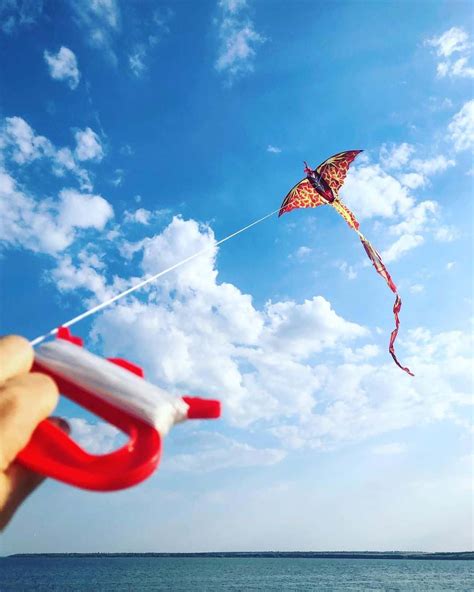 Choosing the Perfect Flying Companion: Essential Tips for Selecting an Ideal Kite