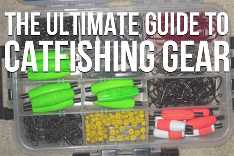 Choosing the Perfect Gear for a Memorable Catfishing Experience