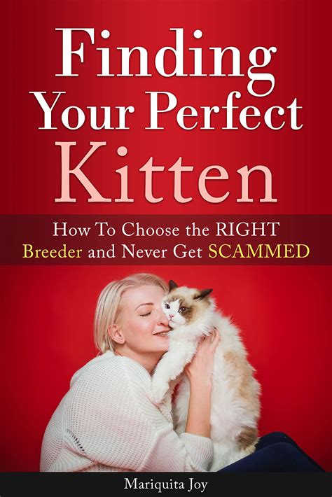 Choosing the Perfect Kitten: Tips for Finding Your Ideal Companion