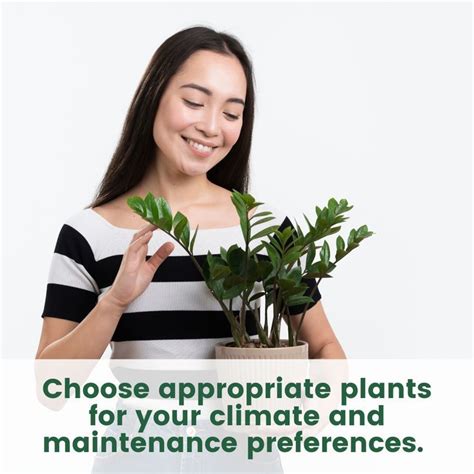 Choosing the Perfect Plants for Your Climate and Maintenance Preferences