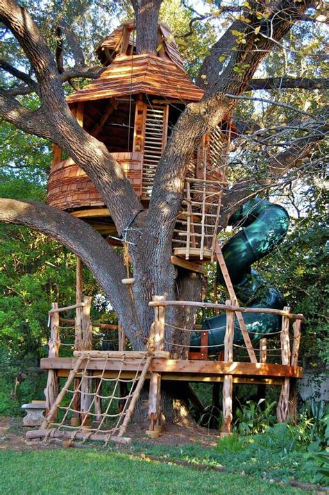 Choosing the Right Tree for Your Treehouse