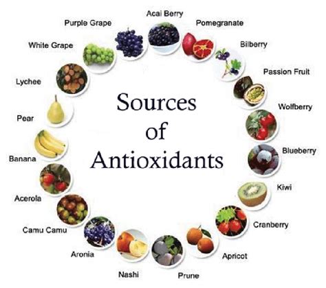 Citrus Fruits: A Natural Source of Antioxidants