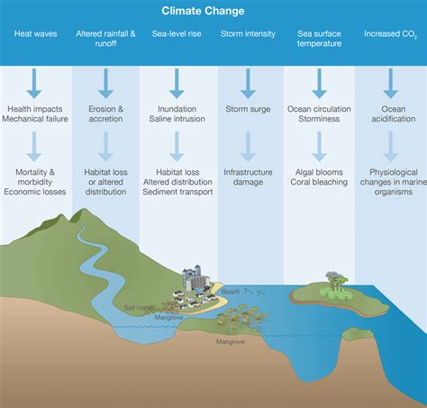 Coastal Impact: The Influence of Escaping Waves on Shorelines and Beaches