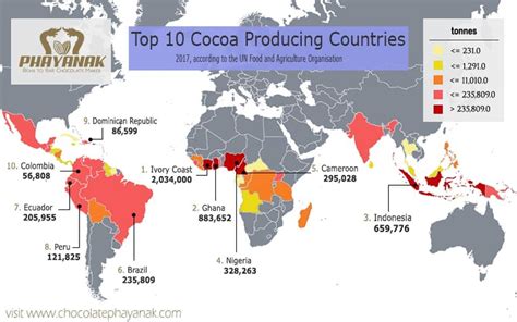 Cocoa Harvesting Around the World: A Global Industry