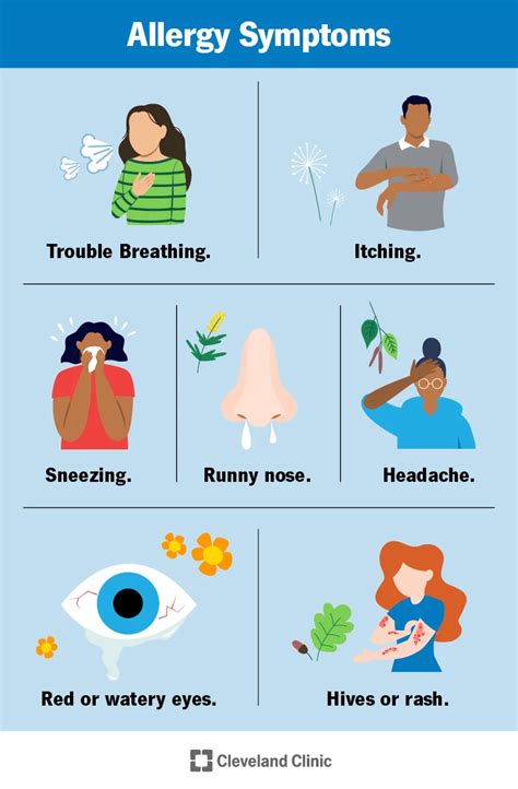 Common Allergens that Trigger Itching Sensation in Dreams