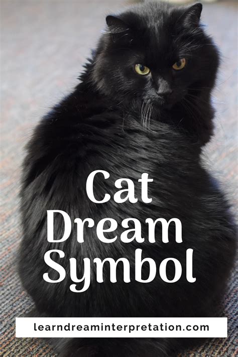 Common Dream Symbols: Cats and Eliminating Them