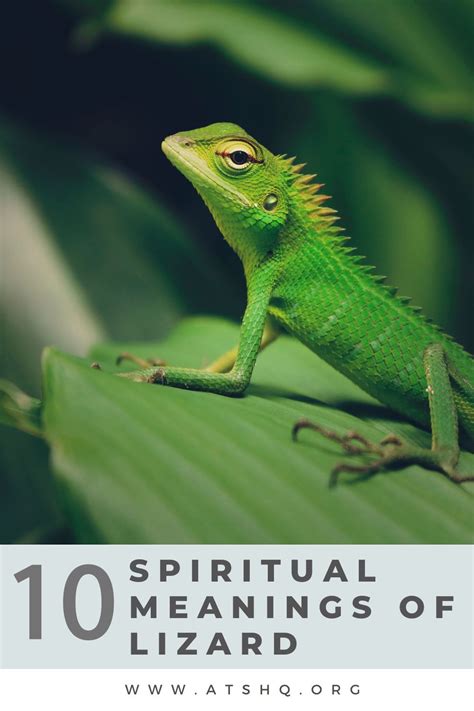 Common Scenarios Involving Lizards and Their Symbolic Meanings