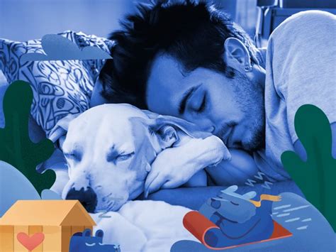 Common Scenarios of Dreaming about Canine Protection