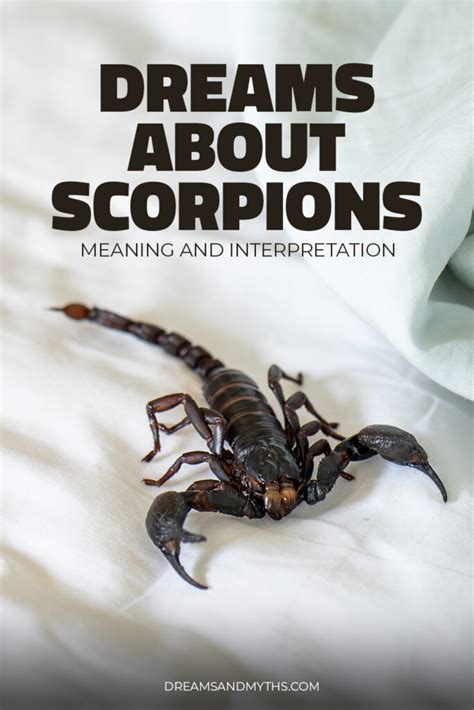 Common Themes in Dreams Featuring Scorpions