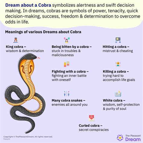 Common scenarios of dreaming about a young serpent