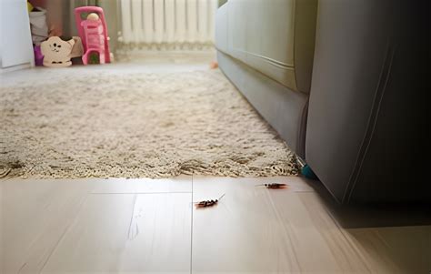 Confronting a Distressing Situation: When Roaches Invade Your Living Space