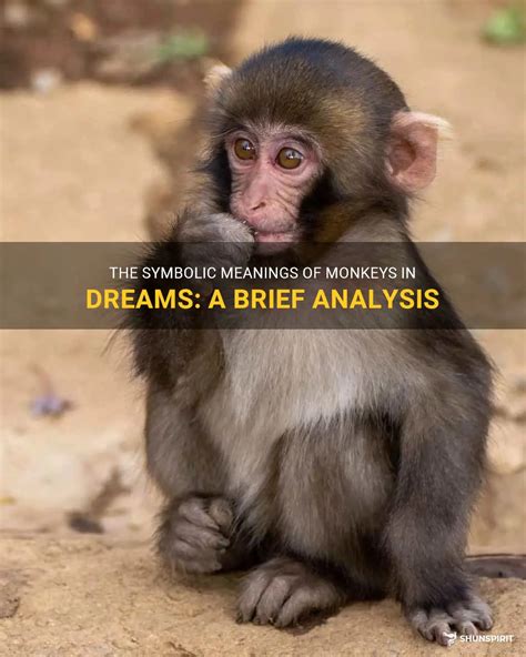 Connecting the Dots: The Symbolic Meaning of Infant Primates in Dream Analysis