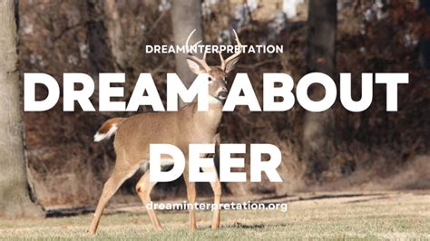 Connection to Nature and the Wilderness: Decoding the Deer's Symbolic Role in Dreams