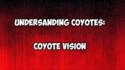 Conquering Anxiety: The Power of Decoding Coyote Vision Quests