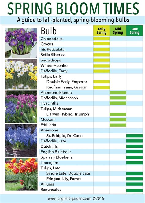 Consider the Seasonal Blooming Times