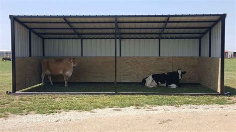 Constructing a Suitable Shelter and Infrastructure for Your Livestock