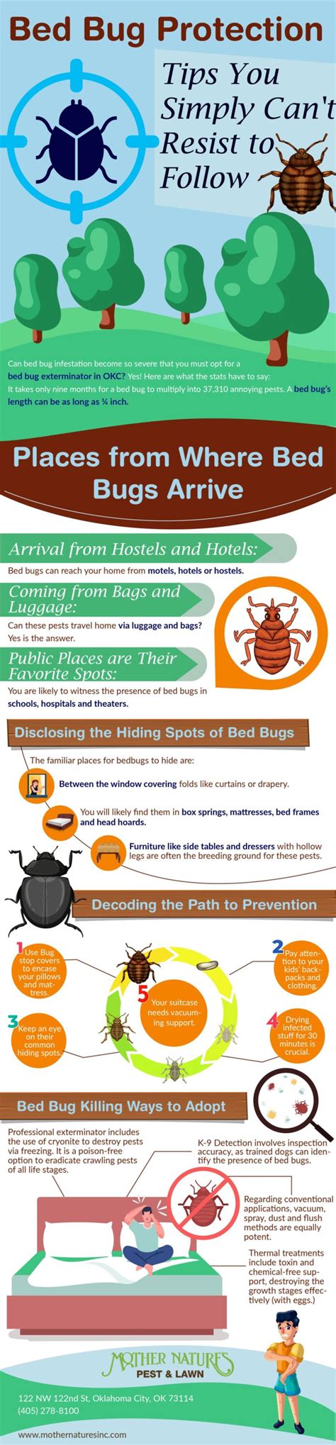 Controlling Infestations: Effective Measures to Eradicate Pesky Bed Bugs