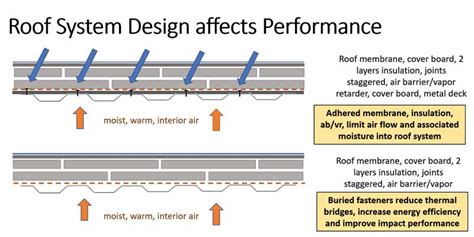 Coping Strategies: Navigating the Impact of a Fiery Roof Vision