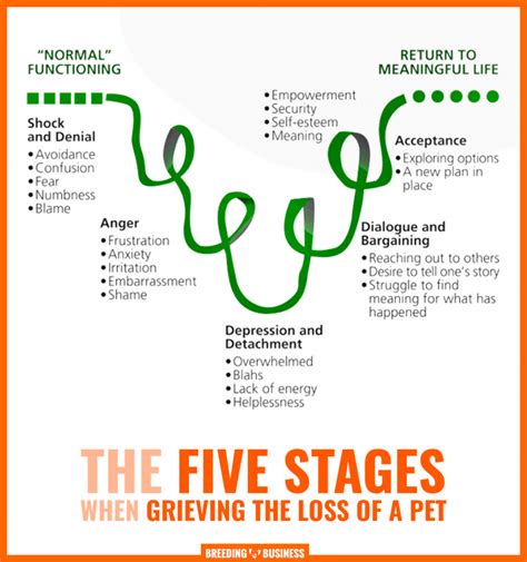 Coping with Grief: The Impact of Visits in Pet Bereavement