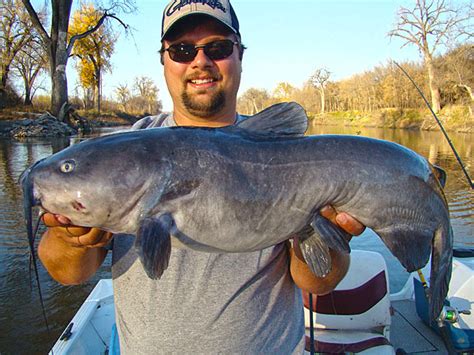 Cracking the Code: Insider Strategies for Landing Trophy Catfish