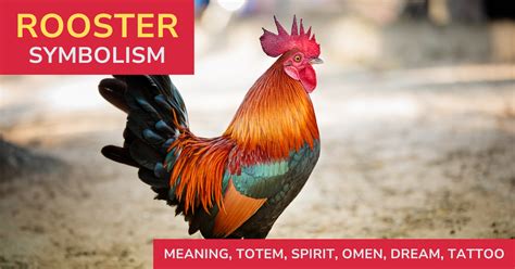 Cracking the Enigma: Deciphering the Symbolic Significance of a Rooster in Pursuit within a Dream