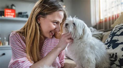 Creating Unbreakable Bonds: Strengthening Relationships through the Gift of Canine Companionship