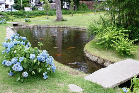 Creating Your Angler's Paradise: Tips for Designing the Perfect Fishing Pond