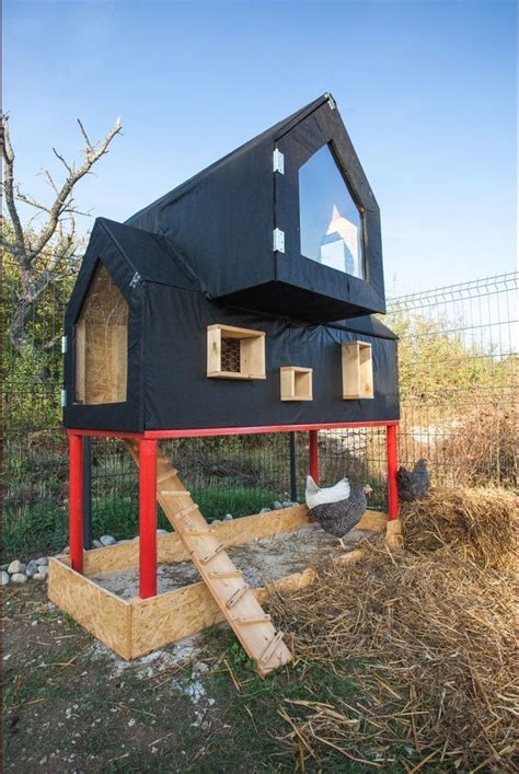 Creating a Comfortable and Secure Henhouse for your Feathered Friends