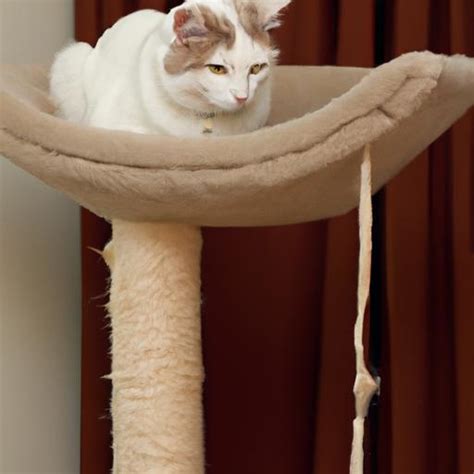 Creating a Cozy and Personal Retreat: Ensuring your Feline Companion Feels at Home