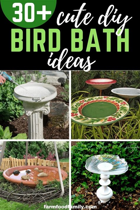 Creating a Garden that Attracts and Nurtures Feathered Friends