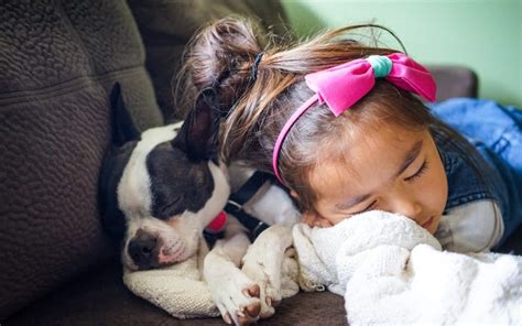 Creating a Strong Connection with Your Precious Pitbull: Tips for a Lifelong Companionship