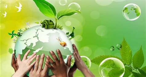 Creating a Sustainable Future: The Significance of Environmental Awareness