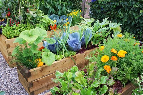 Creating a Vegetable Garden in Your Ideal Spot