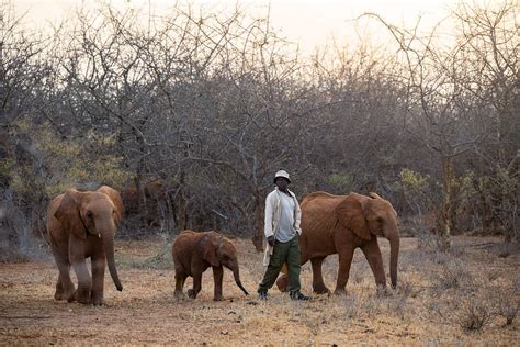 Creating an Enduring Connection with Wildlife