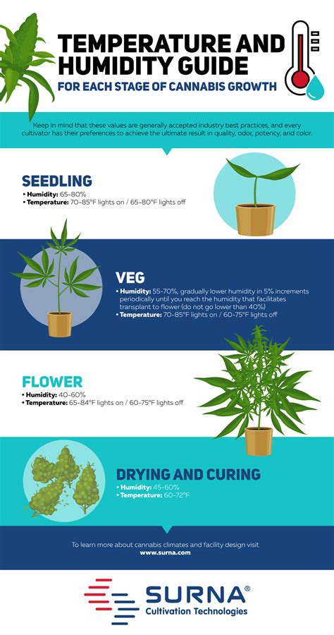 Creating the Optimal Growing Environment: Ideal Conditions for Temperature, Humidity, and Light