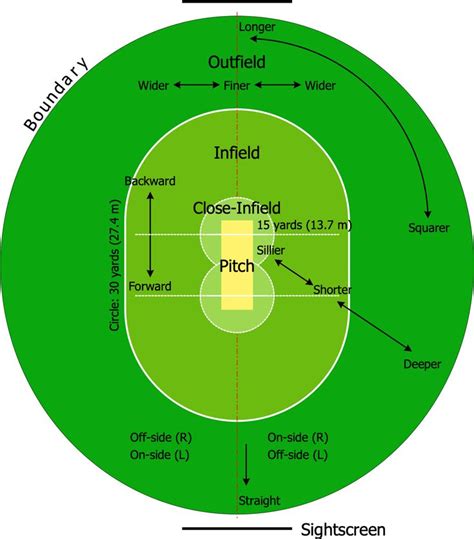 Cricket's Playground: Exploring the Field and its Essential Components