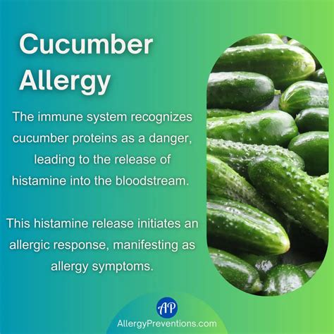 Cucumber Allergies and Sensitivities: Risks in Pregnancy