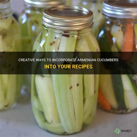 Cucumber Recipes: Exploring Delectable Ways to Incorporate Refreshing Cucumbers into Your Dishes