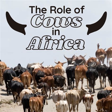 Cultural Perspectives: Significance of Cows in Various Societies