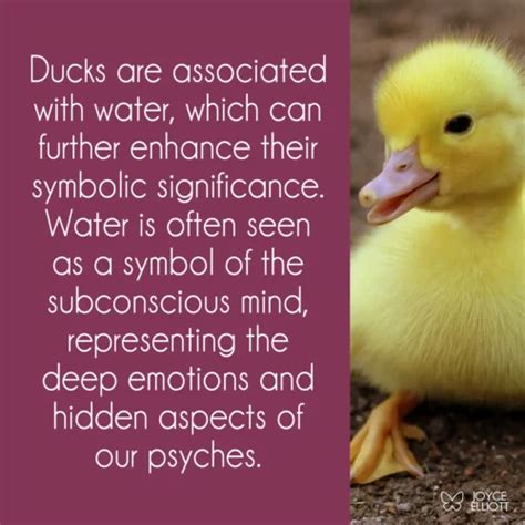 Cultural Perspectives on Ducks in Dream Symbolism