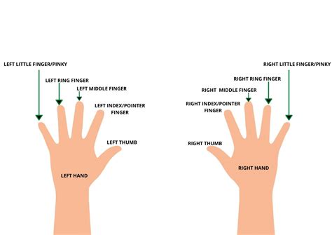 Cultural Perspectives on Extending a Nurtured Finger Symbolism Within Dreams